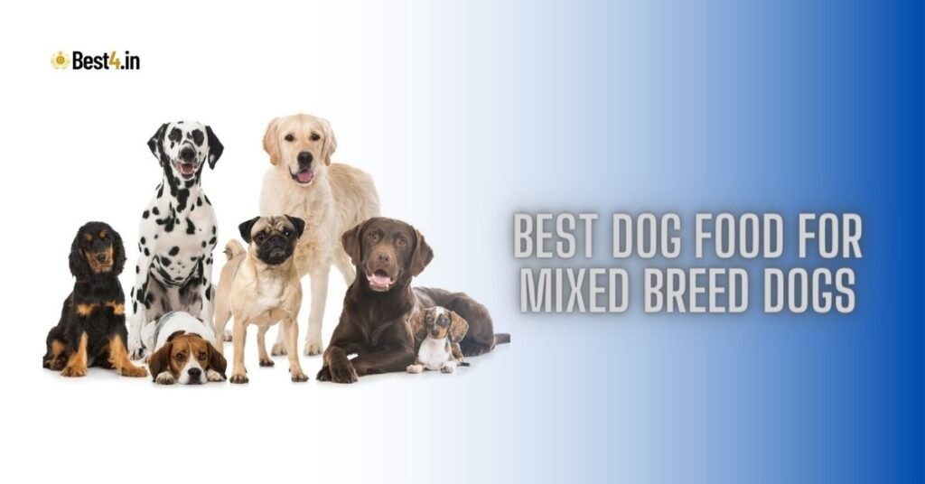 Best Dog Food for Mixed Breed Dogs